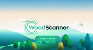How WoodScanner Helps To Keep Track On Wood Market Stock Of Timber Industry?
