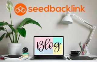 Pengalaman Menjadi Mitra Publisher Di Seedbacklink, Monetisasi Konten Blog Yang Menguntungkan