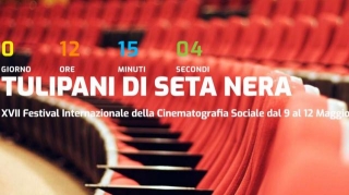 Festival Tulipani Di Seta Nera 2024: Al Via Domani La Rassegna Dedicata Alla Cinematografia Sociale