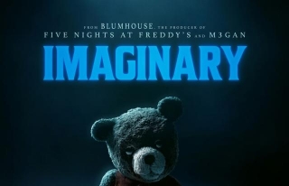 MOVIE REVIEW: IMAGINARY
