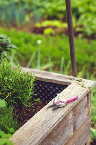 The Art Of Urban Gardening: Maximizing Limited Spaces