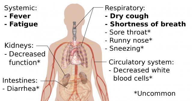 What Could Be Causing Your Shortness of Breath?