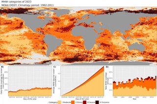 UN Says 2024 Will Be The Hottest Year Ever Recorded