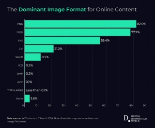 Decoding The Visual Web: Which Image Format Reigns Supreme Online?