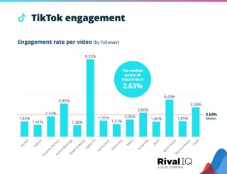 Multi-Source Data Highlights TikTok's Declining Engagement Rates