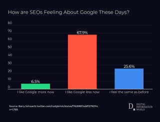 Google's Popularity Among SEO Experts Declines