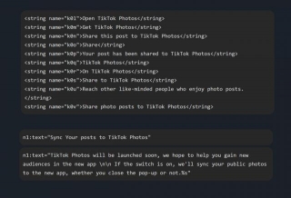New Leak Suggests TikTok Is Working On Its Own Instagram-Like Photos Platform