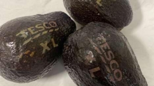 Plastic-Free Laser-Etched Produce - The Tesco Laser-Etched Avocados Reduce Packaging Waste (TrendHunter.com)