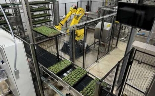 Tech-Rich Gardening Facilities - This Soli Organic Vertical Farm Is Expansive And Ultra-Advanced (TrendHunter.com)