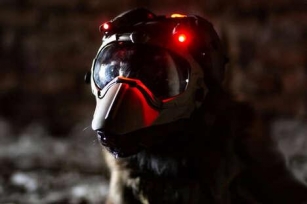 Modular Canine Helmets - This Helmet Brings High-Tech Specs & Lightweight Security To Working Dogs (TrendHunter.com)