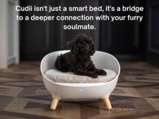 Smart Dog Beds - The CUDII Aims To Revolutionize Canine Comfort (TrendHunter.com)