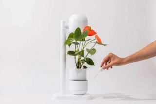 Self-Watering Multifunctional Planters - Moss Develops The Grow Lamp To Simplify Gardening (TrendHunter.com)