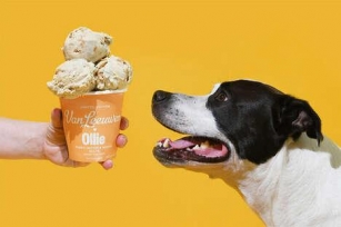 Top 50 Pet Trends In June - From Dog-Friendly Ice Creams To CBD-Powered Pet Creams (TrendHunter.com)