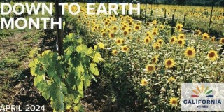 Climate-Conscious Wine Campaigns - California Wines Celebrates Its 13th Annual Down To Earth Month (TrendHunter.com)