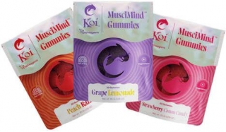 Low Dose Muscimol Gummies - Koi MusciMind Gummies Are Made With A Muscimol Extract And Adaptogens (TrendHunter.com)