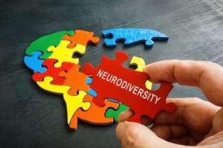 Inclusive Workplace Handbooks - The Northern Ireland Civil Service Debuts A Neurodiversity Handbook (TrendHunter.com)