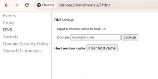 Chrome://net-internals/#dns - Clear DNS Cache On Chrome: A Comprehensive Guide