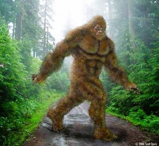 Clinton County Missouri Bigfoot Sightings