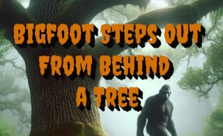 Bigfoot Steps Out From Behind A Tree