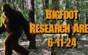 Bigfoot Research Area | 6-11-24