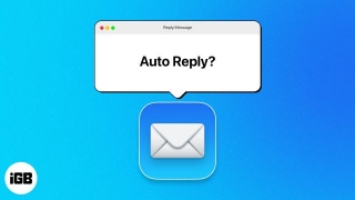 How To Set Up Auto-reply In Mail On IPhone, IPad, And Mac