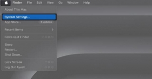 How To Install MacOS Sequoia Developer Beta On A Mac