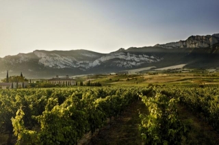 Uncork Adventure: A Guide To La Rioja Wine Tasting & Experiences