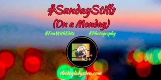 FUN WITH PHOTO EDITS #SundayStills (On A Monday) #Photography