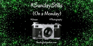 GREEN #SundayStills (On A Monday) #Photography #ColourChallenge