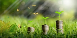Trends Und Entwicklungen Im Bereich Der Nachhaltigen Finanzierung