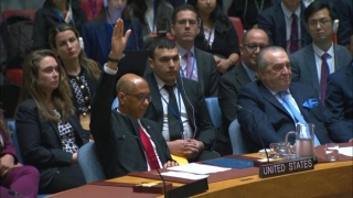 US Veto Sinks Palestinian UN Membership Bid In Security Council