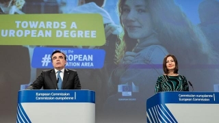 Brüssel Stellt Pläne Für Europäischen Studiengang Vor. Braucht Europa Den?