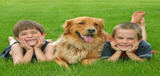 Teaching Kids How To Interact Respectfully With Pets