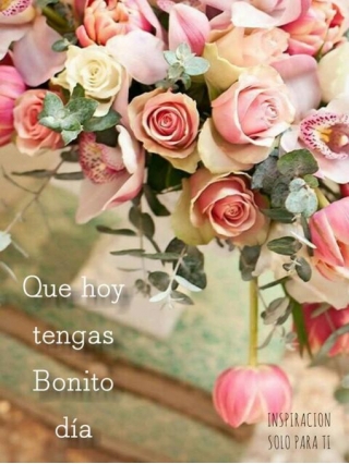 Buenos Dias Flores Bonitas: A Guide To Beautiful Morning Flowers