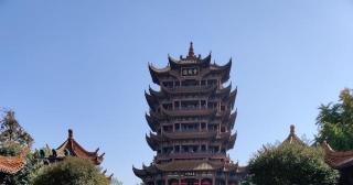 A Muliple Chance Encounter In Wuhan