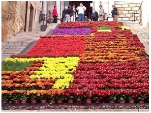 Temps De Flors: Girona Flower Festival 2024