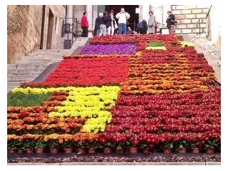 Temps De Flors: Girona Flower Festival 2024
