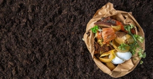 What’s The Best Bagged Compost?