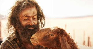 Aadujeevitham Box Office Collection Day 21: Prithviraj Sukumaran Starrer To Soon Bleat Its Way To Recover Investment