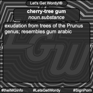 Cherry-tree Gum 3/4/2024 GFX Definition Of The Day