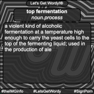 Top Fermentation 2/17/2024 GFX Definition Of The Day