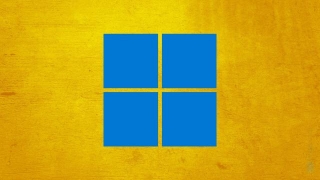 Windows 11 Com Queda De Uso, Enquanto Windows 10 Aumenta