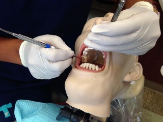 Texas Triumph: Conquer The Dental Assistant Certification Test