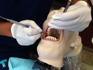 Sunshine State Education: Dental Assistant Colleges In Florida
