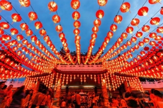 Unique Chinese Folk Arts Illuminate The Spring Festival