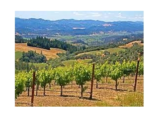 New In Accolades For Sonoma County – Winter 2024