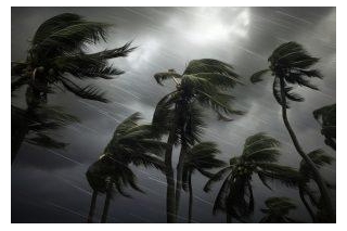 Hurricane Preparedness: Protecting Your Miami-Based Business