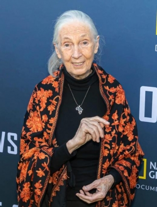 93-Year-Old Clint Eastwood Makes Rare Appearance For Jane Goodall Event