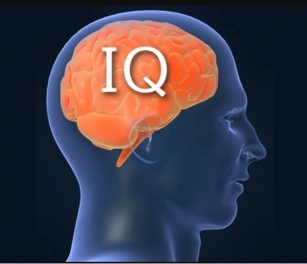 How To Measure Your IQ At Home In 2024 (Guide)