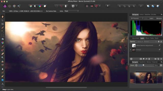 The Best Photo Editing Software for Mac & PC